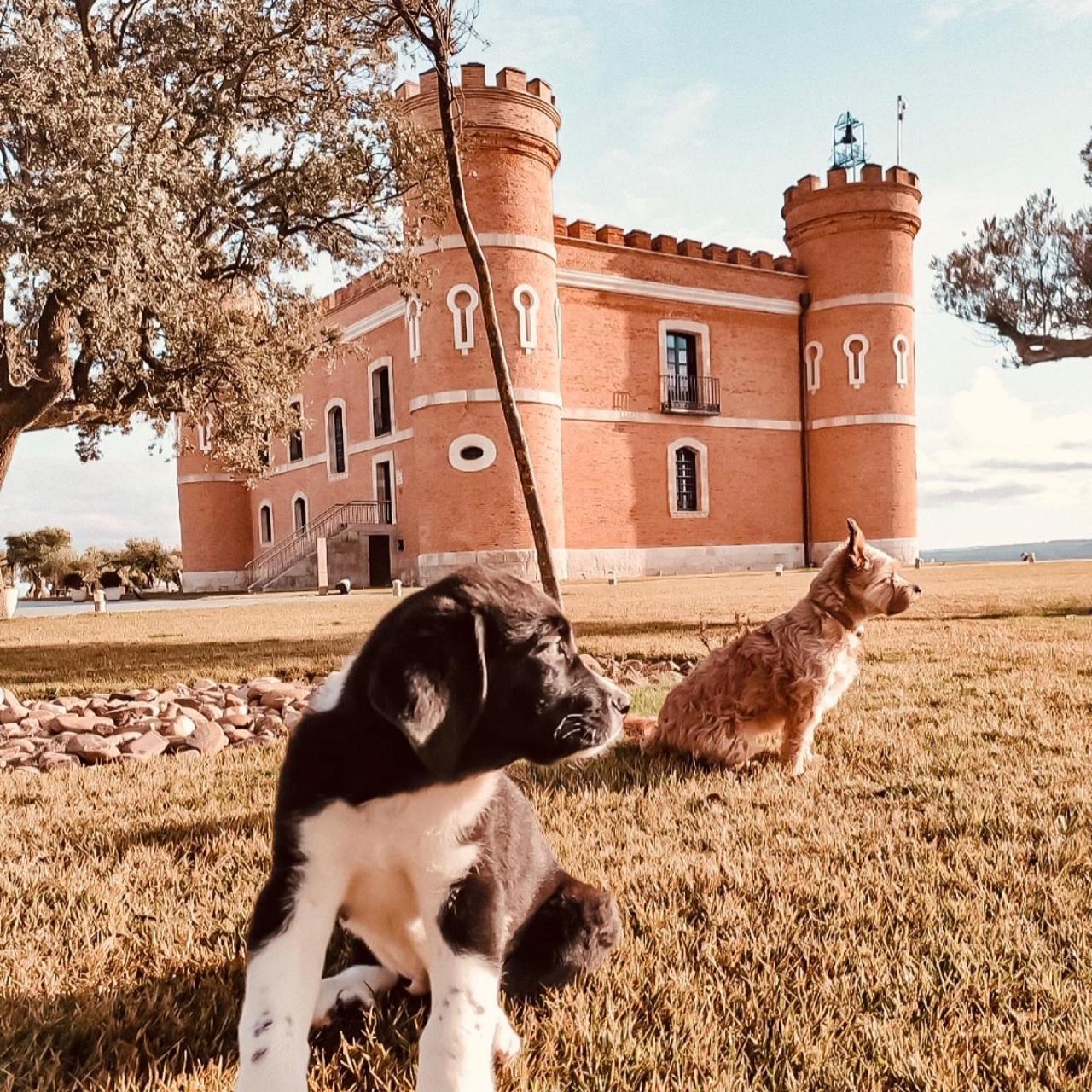 Castillo De Monte La Reina Posada Real & Bodega Toro Εξωτερικό φωτογραφία